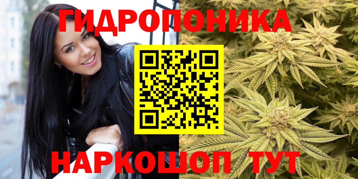 Бошки Шишки OG Kush Североморск